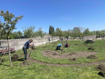 I Never Promised You a Green Garden @ GOUDasfalt (under construction)